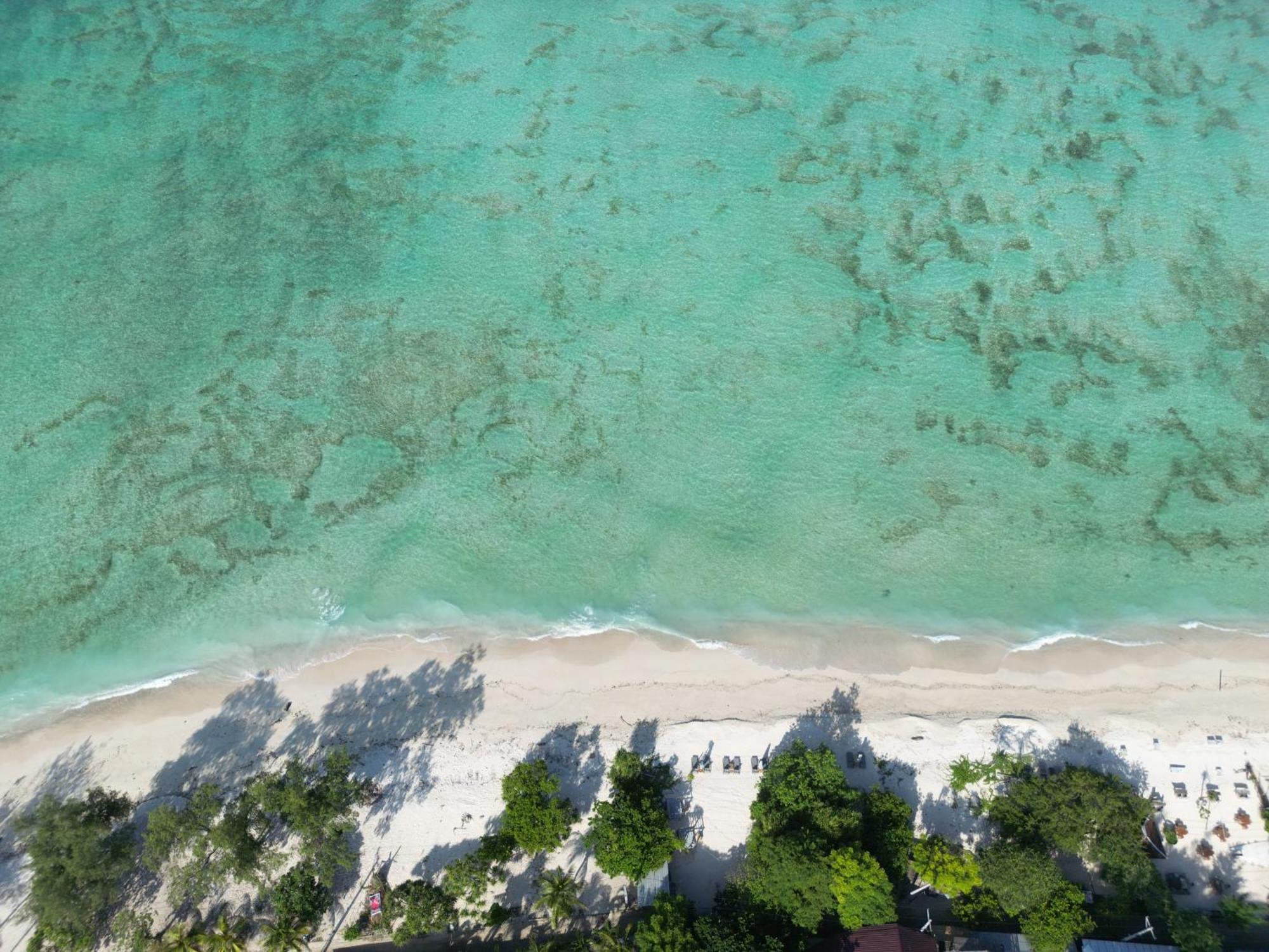 Mowies On The Beach Gili Air Exterior foto